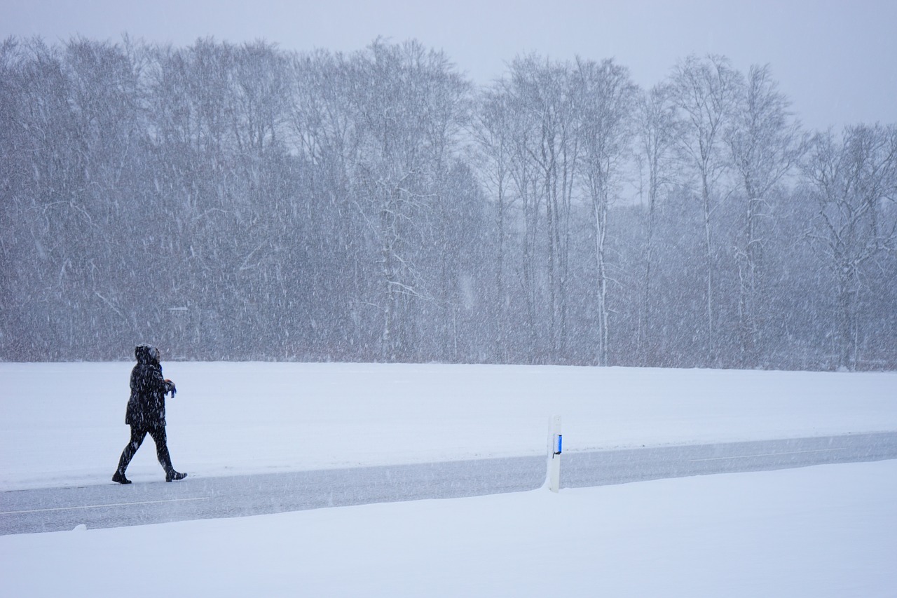 blizzard person escape free photo