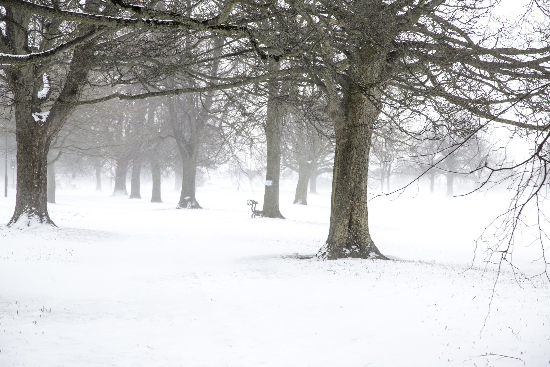 winter landscape snow free photo