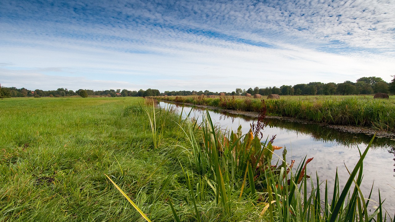 blockland bremen northern germany free photo