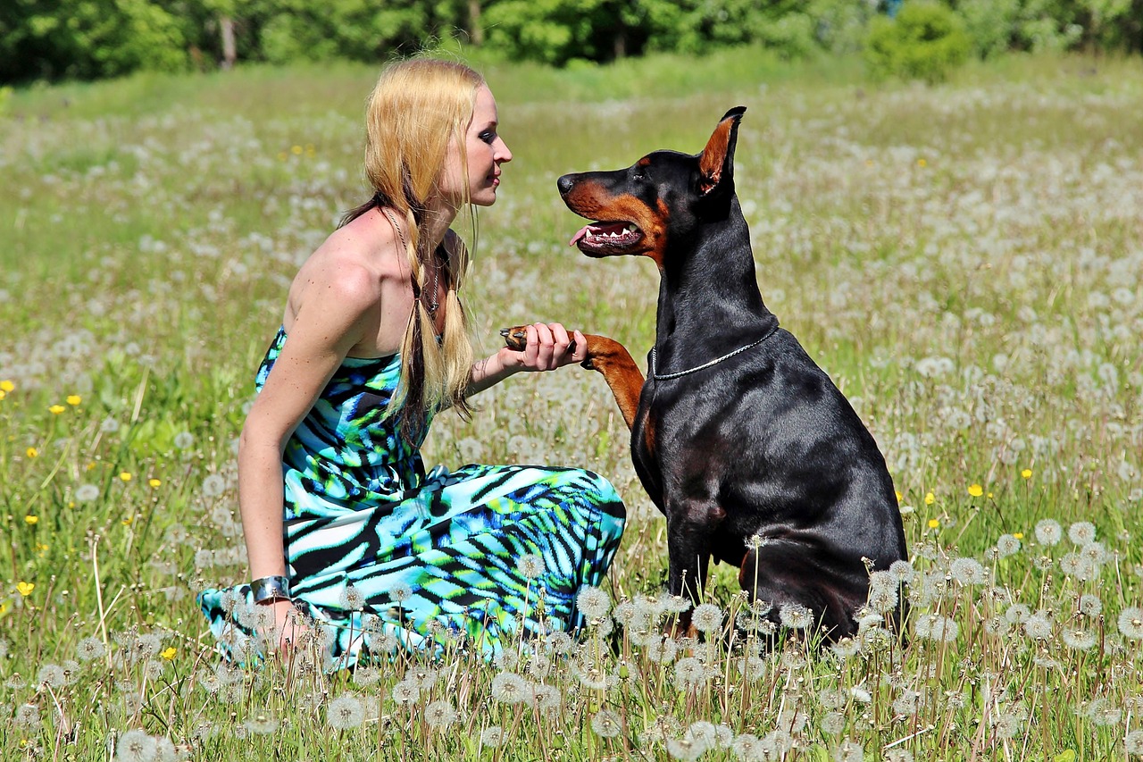 blonde girl pacsi doberman free photo