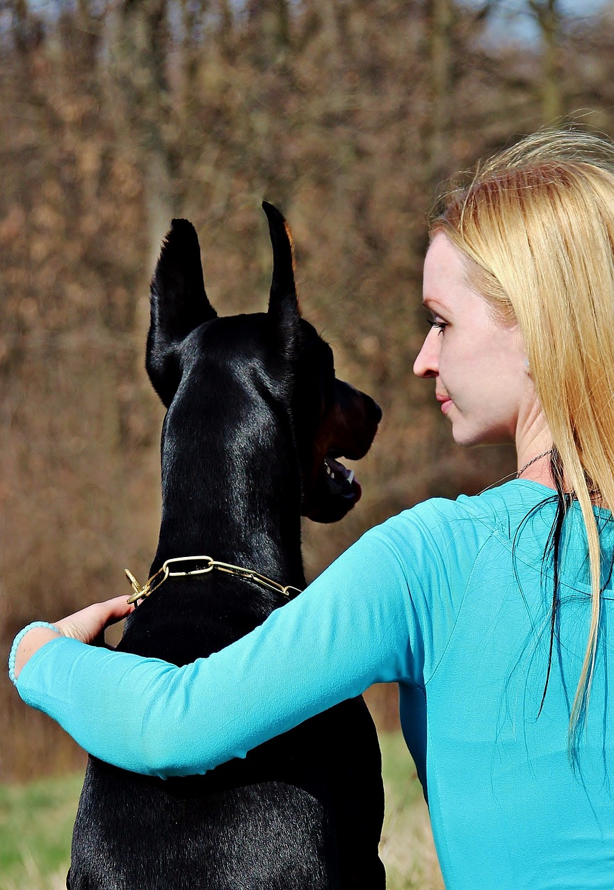 blonde girl dogs doberman free photo