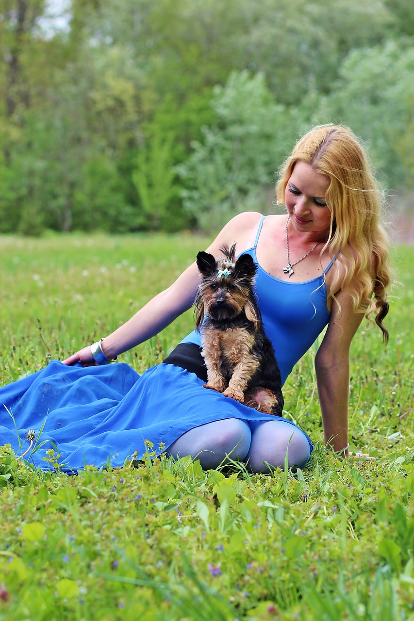 dogs woman and dog yorkie free photo