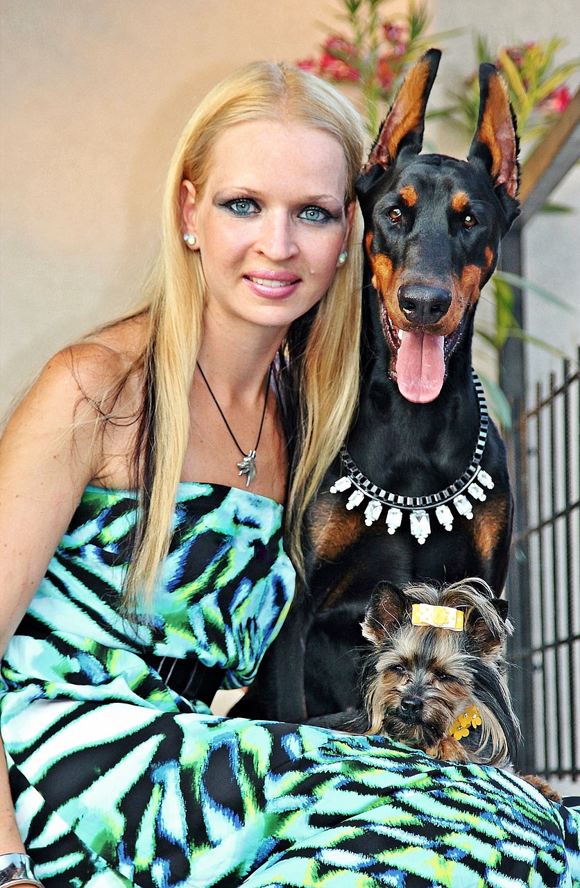 blonde woman yorkie doberman free photo