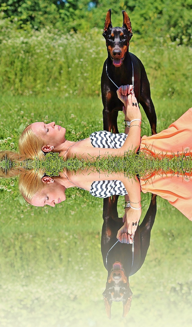 blonde woman lie green grass free photo