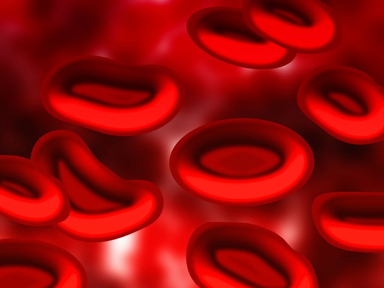 blood blood plasma red blood cells free photo