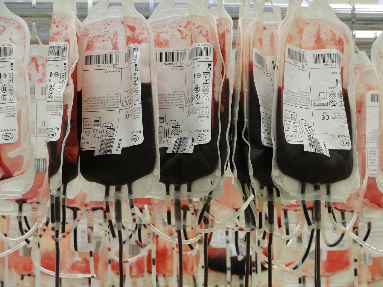 blood bags red red blood cells free photo