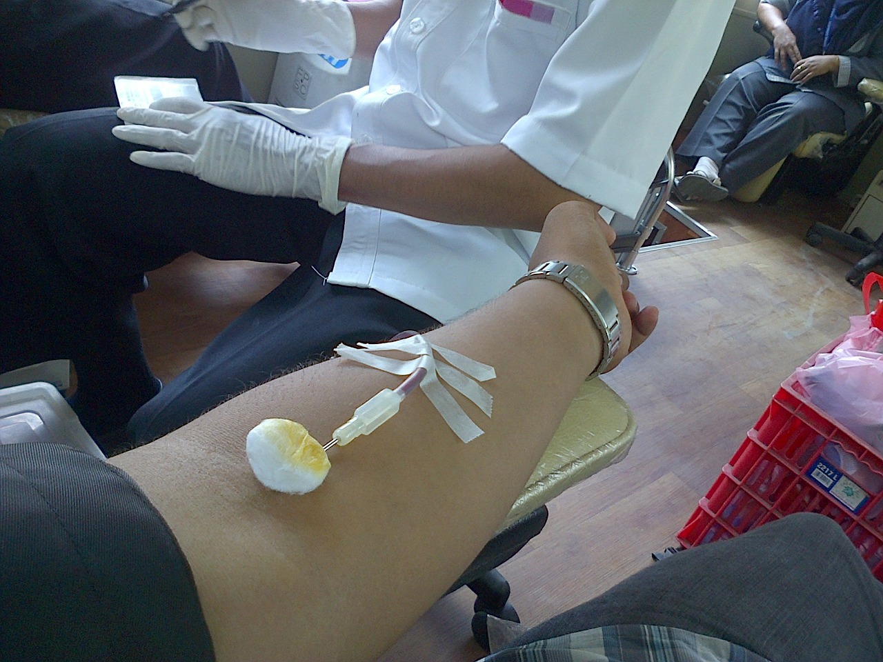 blood donation donor volunteer free photo