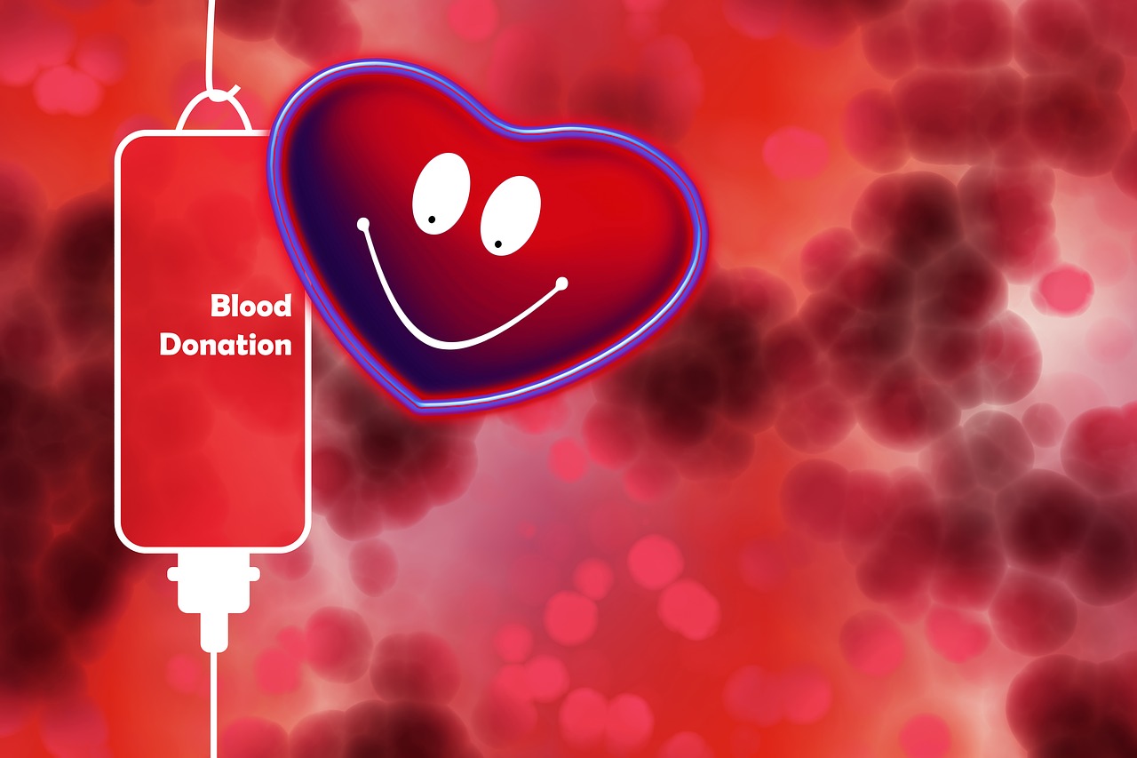 blood donation  blood  unit of blood free photo