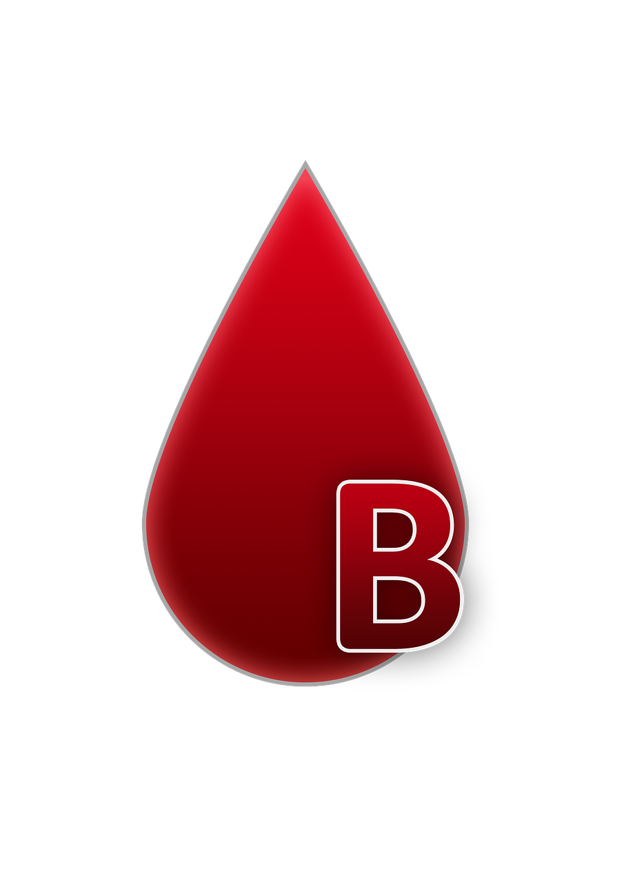 blood group b blood free photo