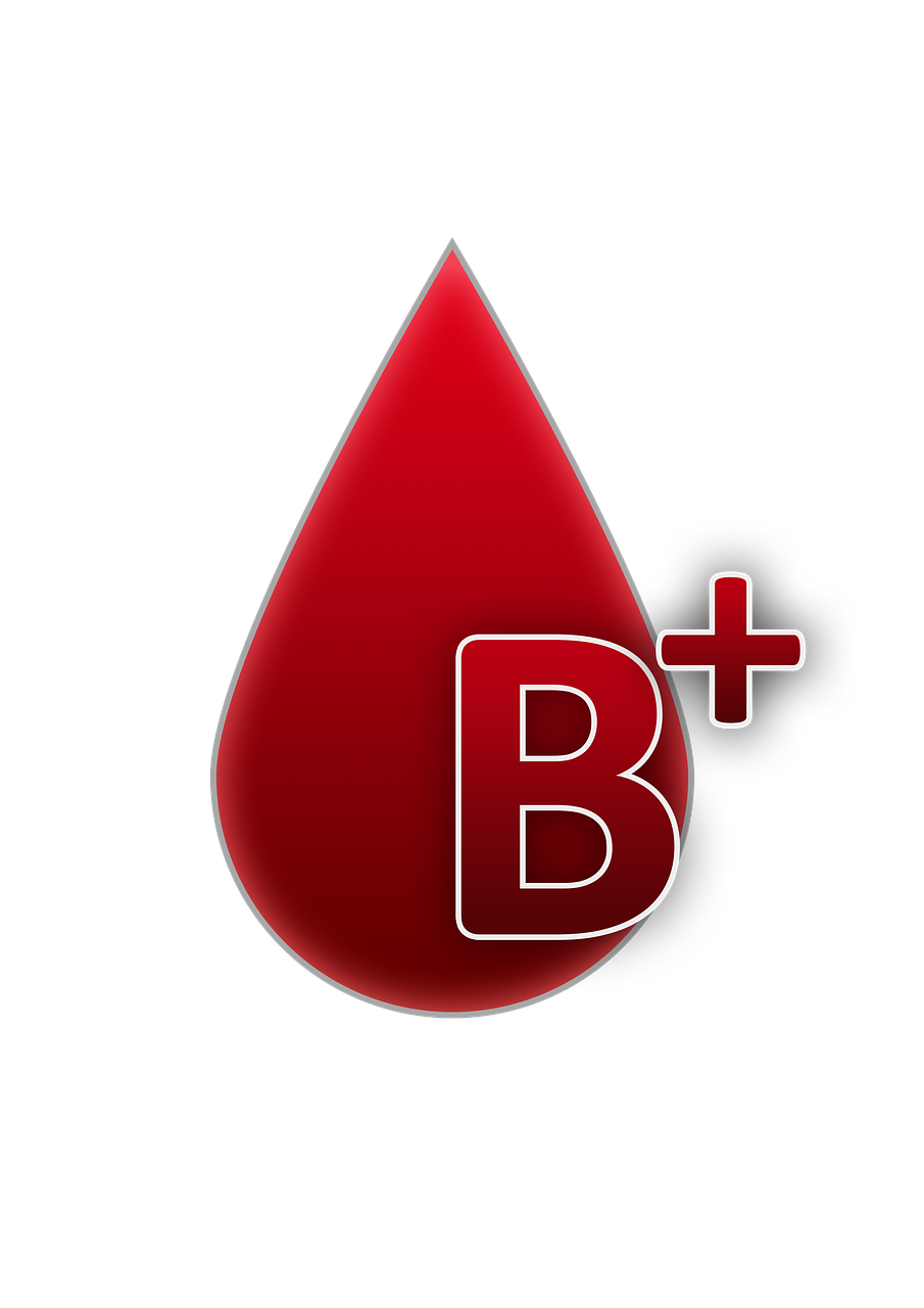 blood group b rh factor positive free photo