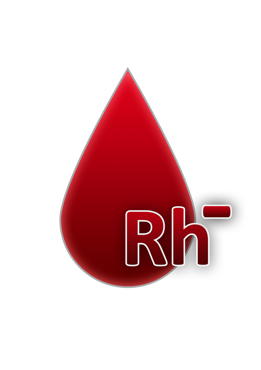 blood group rh factor negative blood free photo
