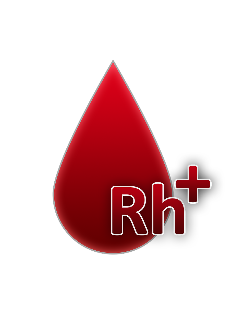 blood group rh factor positive blood free photo