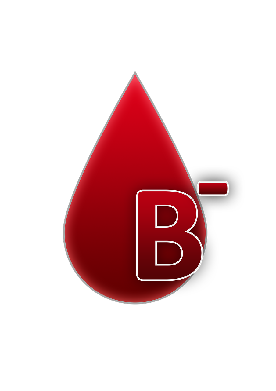 blood group b rh factor negative free photo