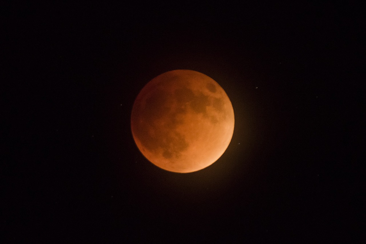 blood moon eclipse full free photo