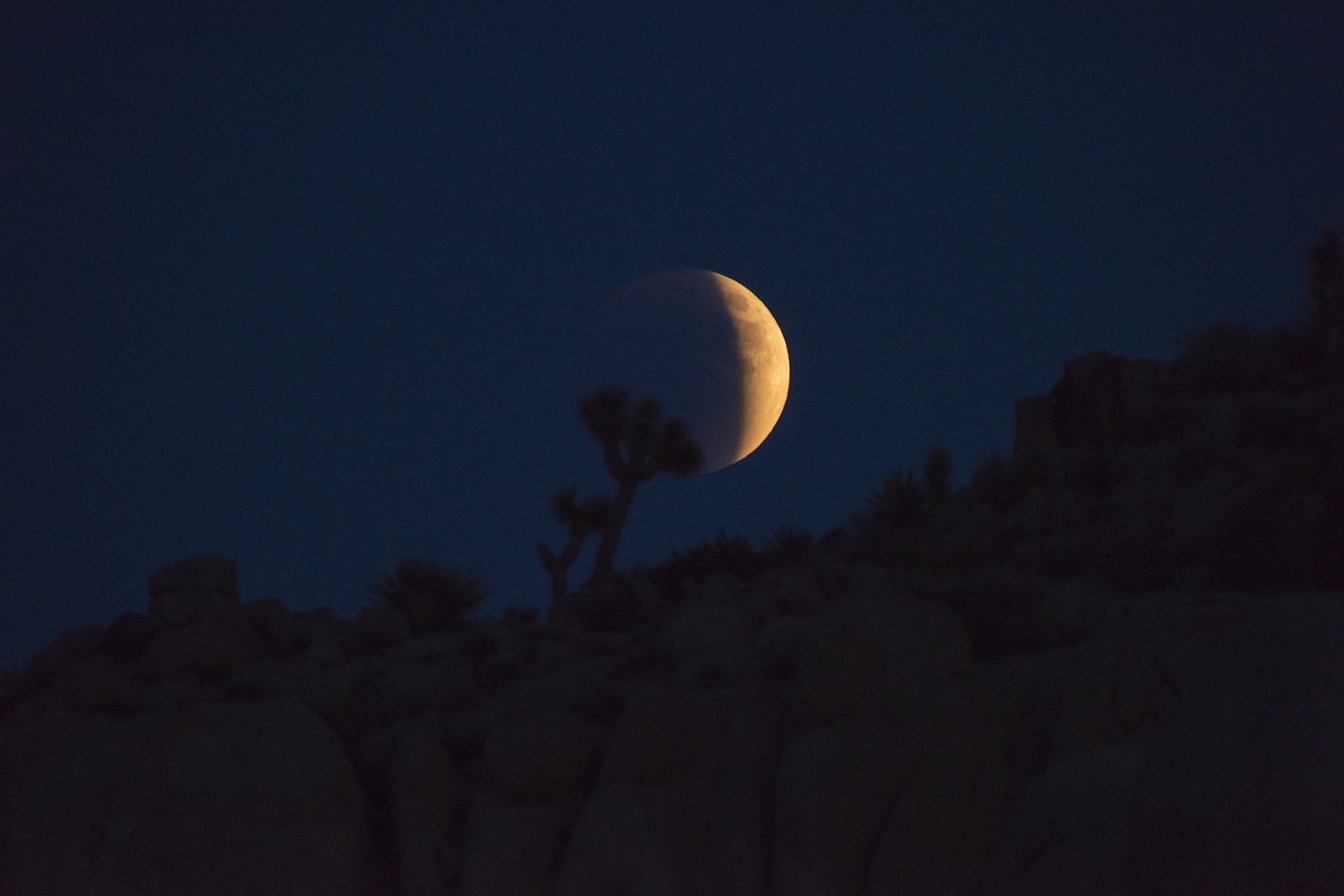 blood moon night sky free photo