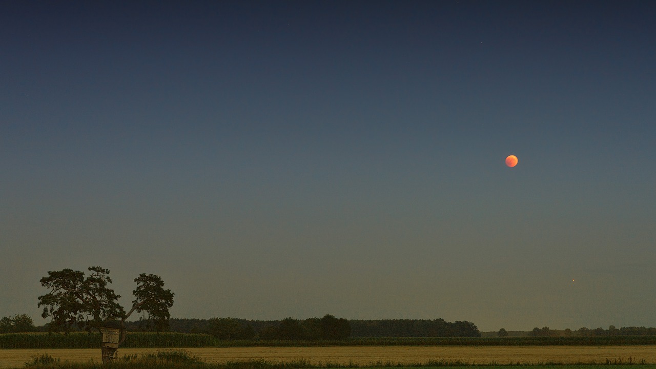 blood moon  moon  mars free photo