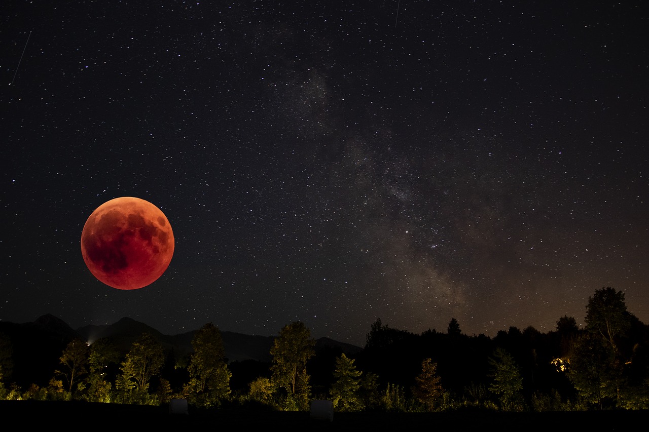 blood moon  lunar eclipse  moon free photo