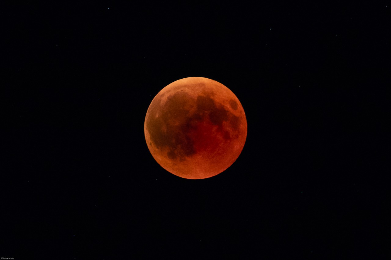 blood moon  moon  night free photo