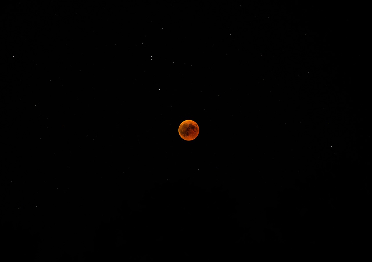blood moon  moon  moonlight free photo