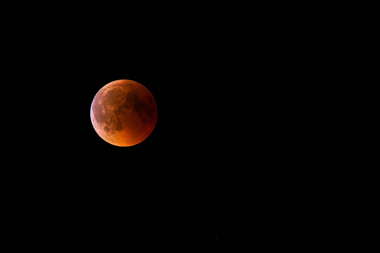 blood moon  night sky  red free photo