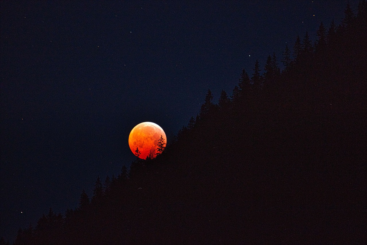 blood moon  moon  lunar eclipse free photo