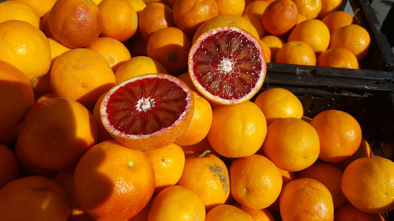 blood orange fruit sunshine free photo