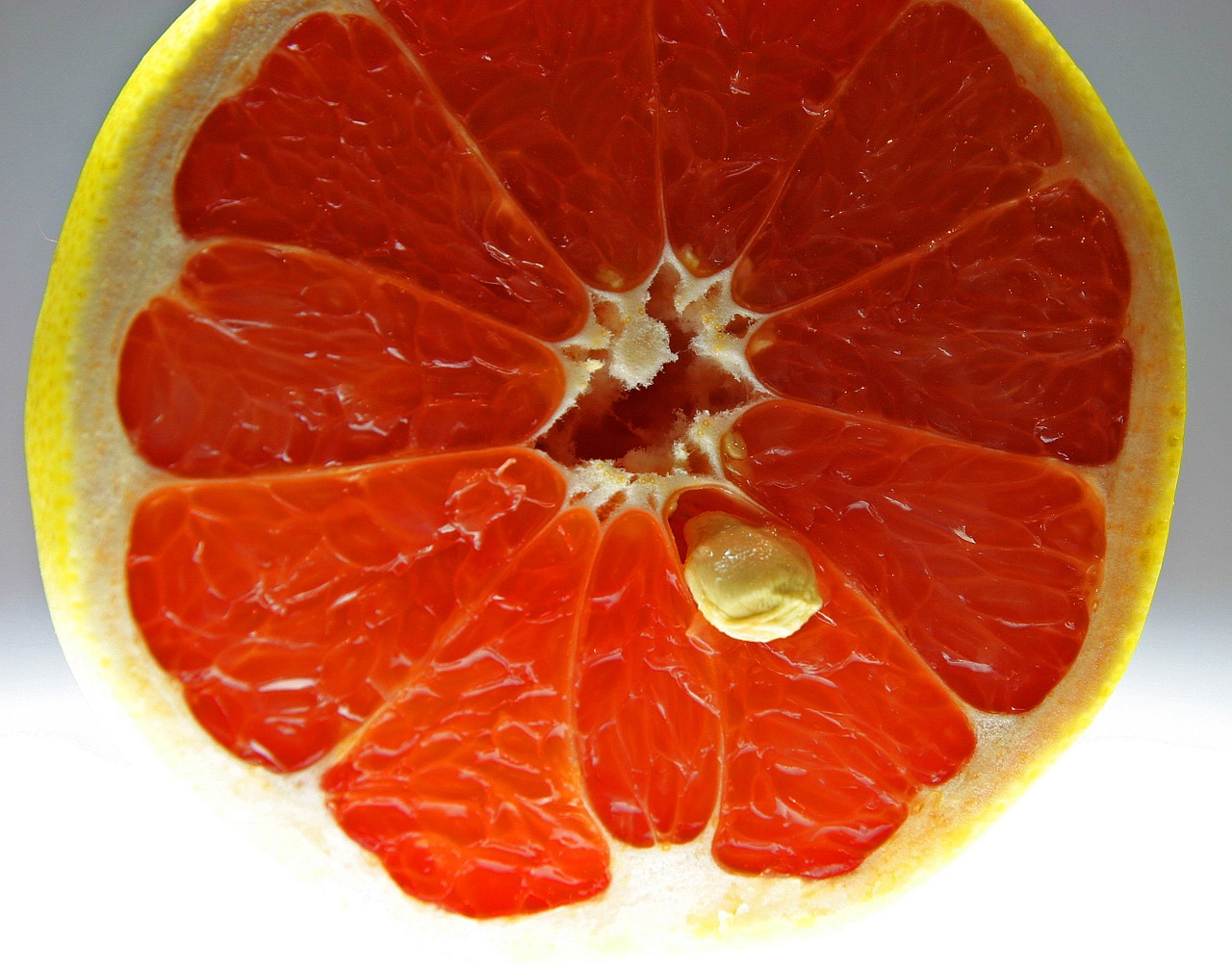 blood orange fruit disc free photo