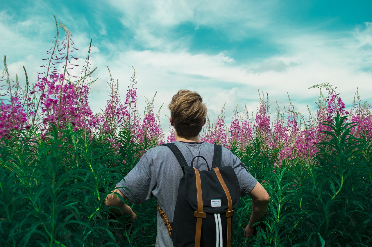 bloom blooming blossom free photo