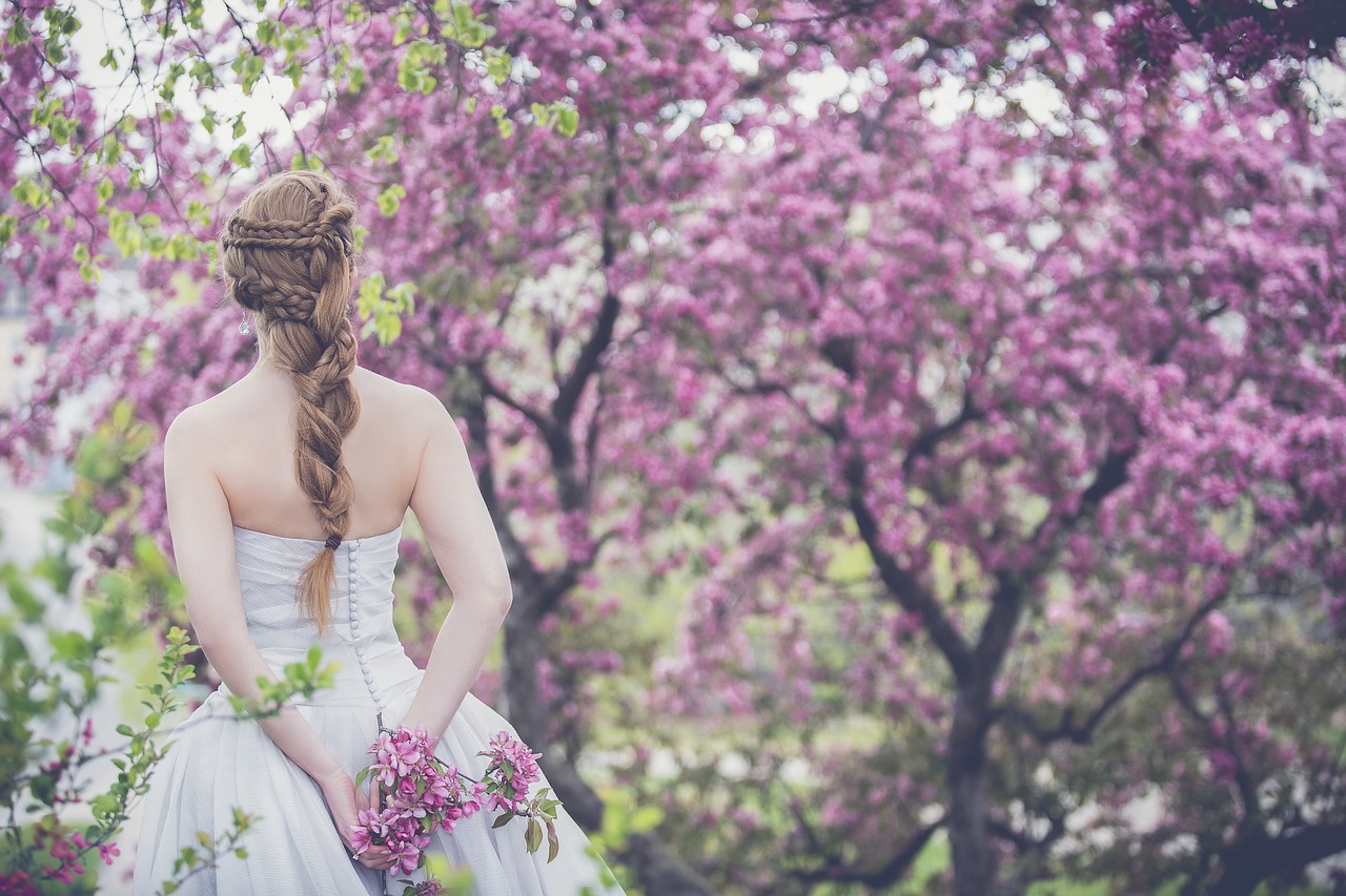 bloom blossom branches free photo