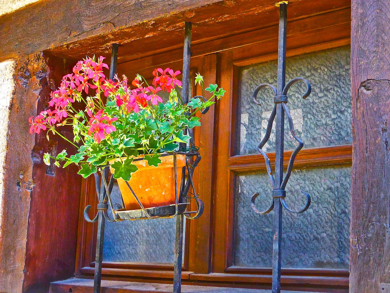 blossom window decoration free photo