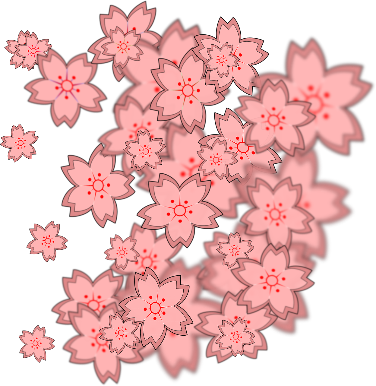 blossom flower ornament free photo