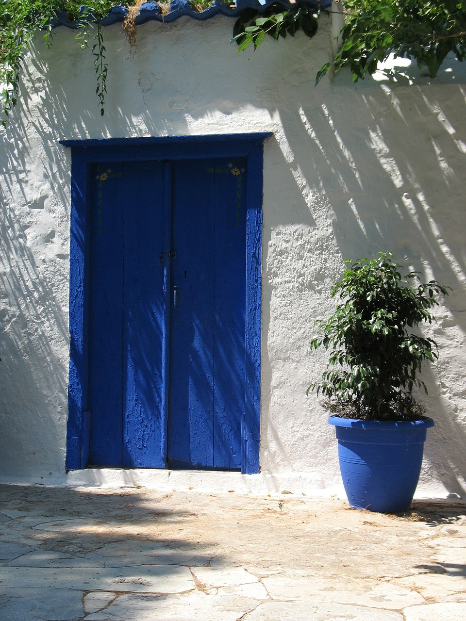 blue door wood free photo