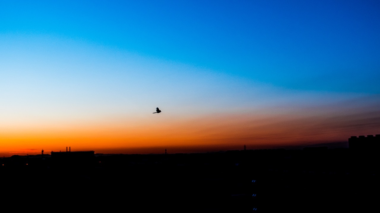 blue orange silhouette free photo