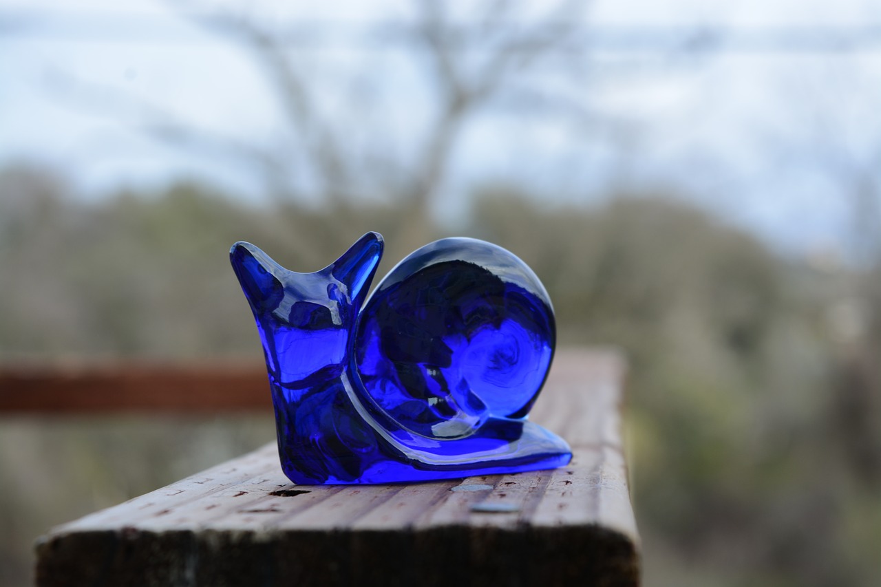 blue glass snail free photo