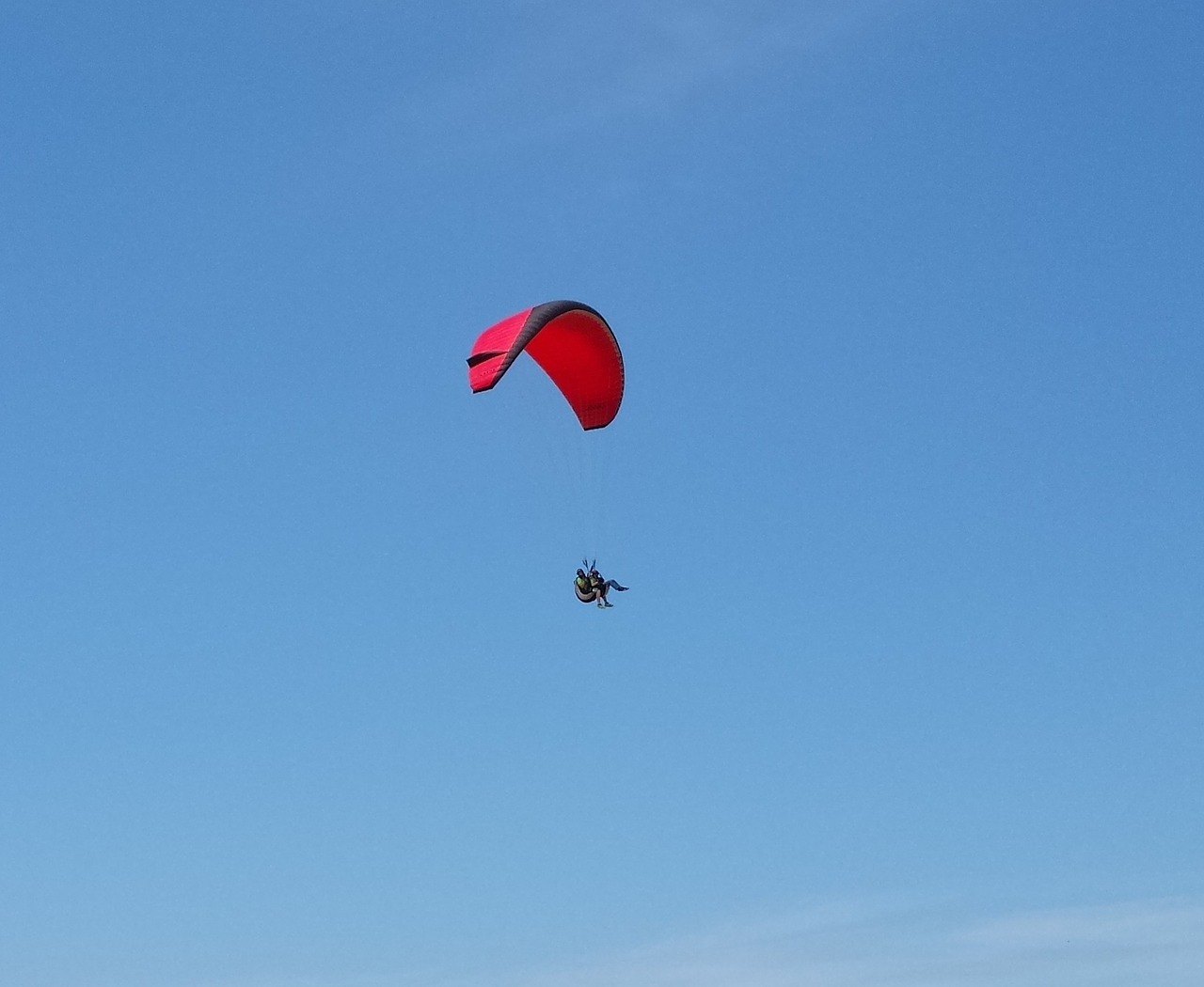 paragliding fly blue free photo