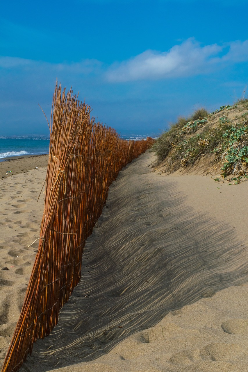 blue beach landscape free photo