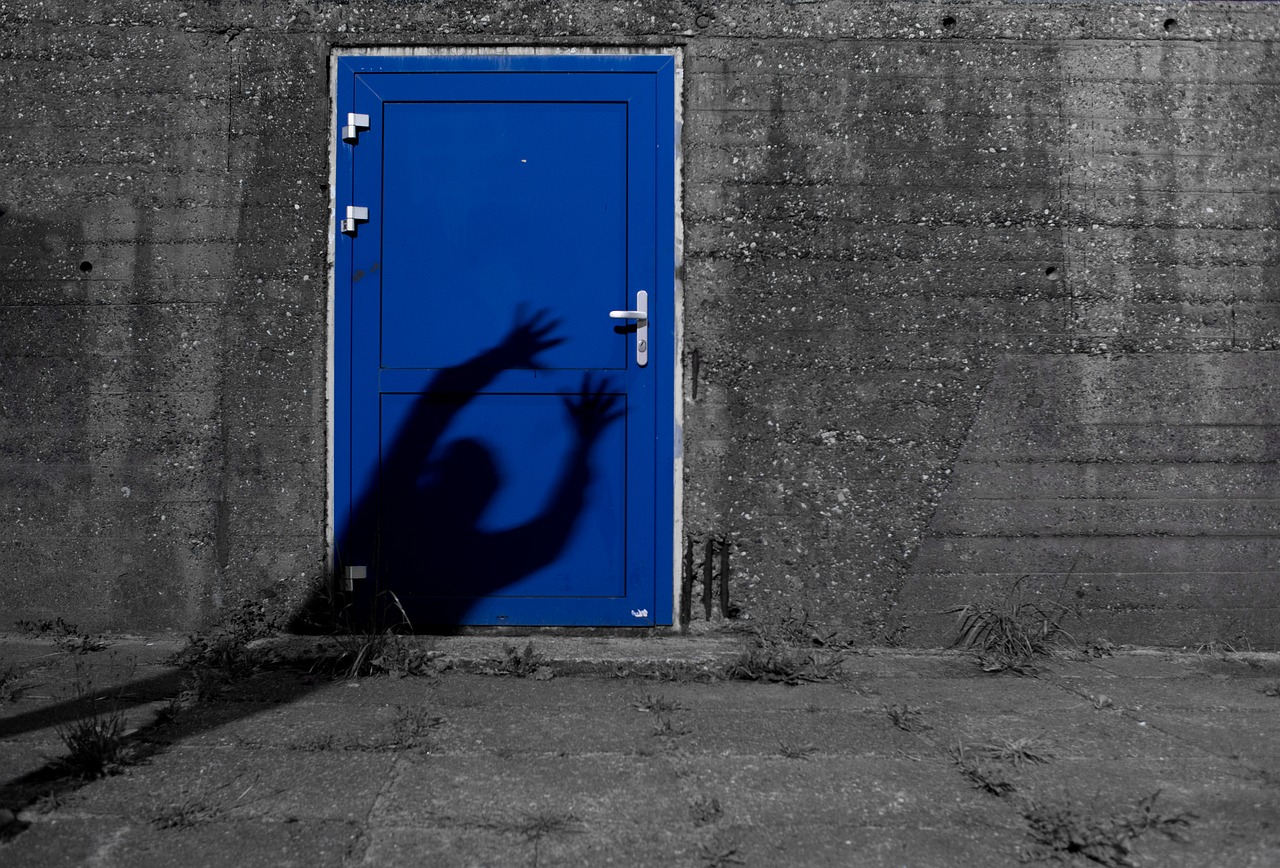 blue door shade free photo