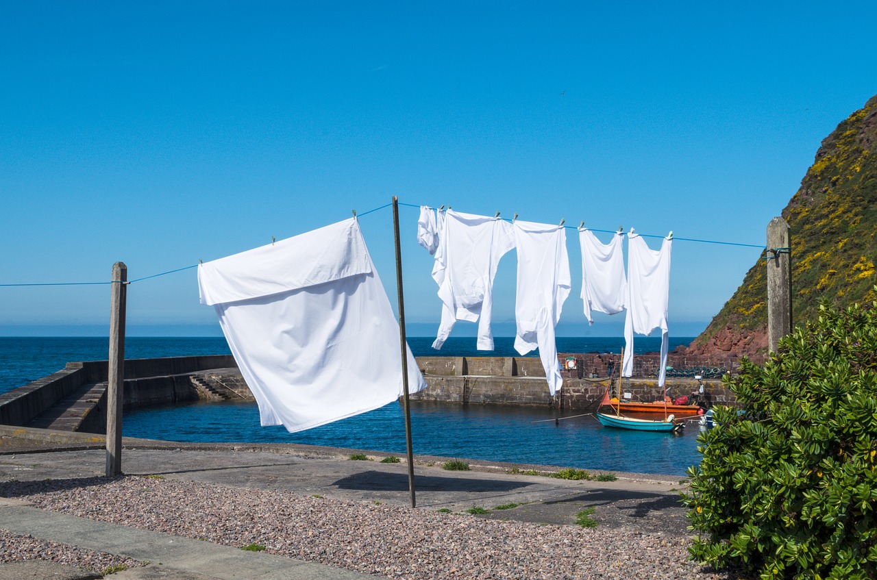 blue laundry clothes line free photo