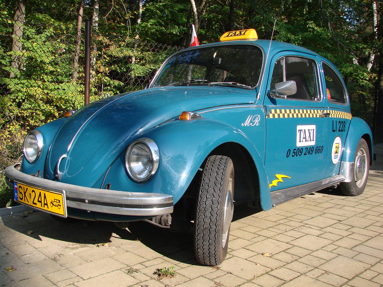 blue vw the beetle free photo