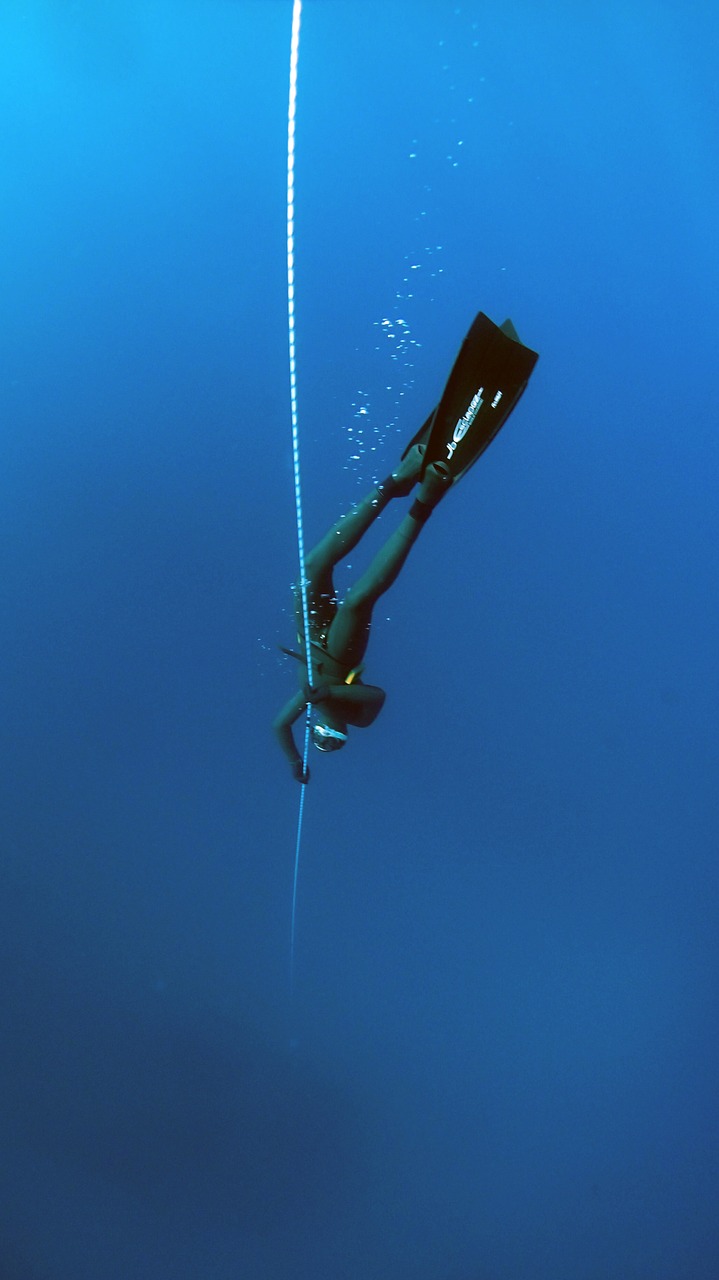 blue deep diving deep ocean free photo