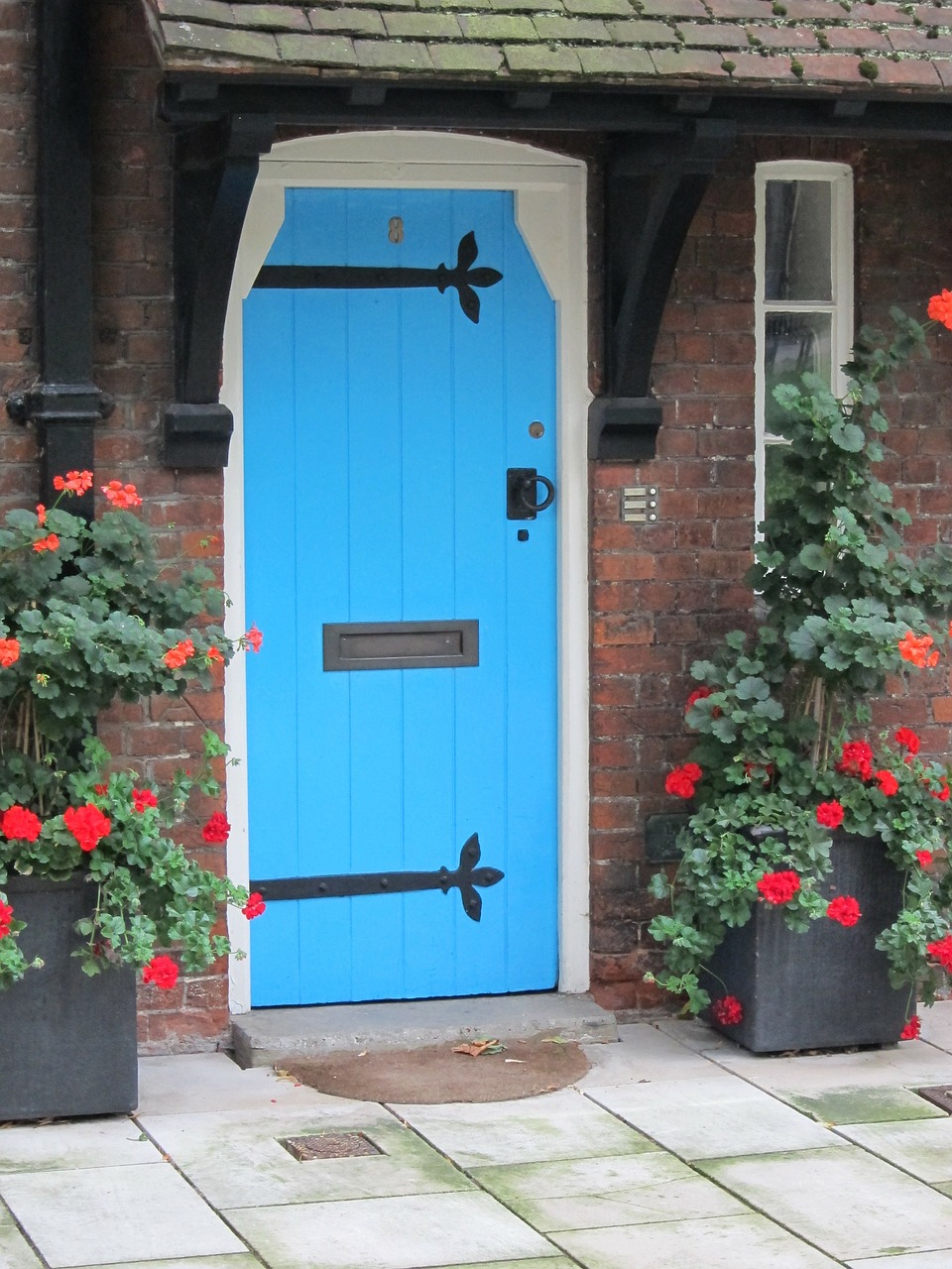 blue door roses free photo