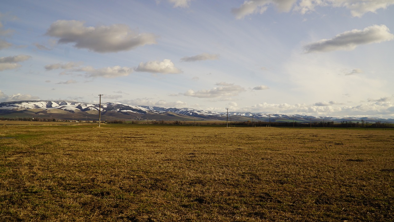 blue mountains walla free photo