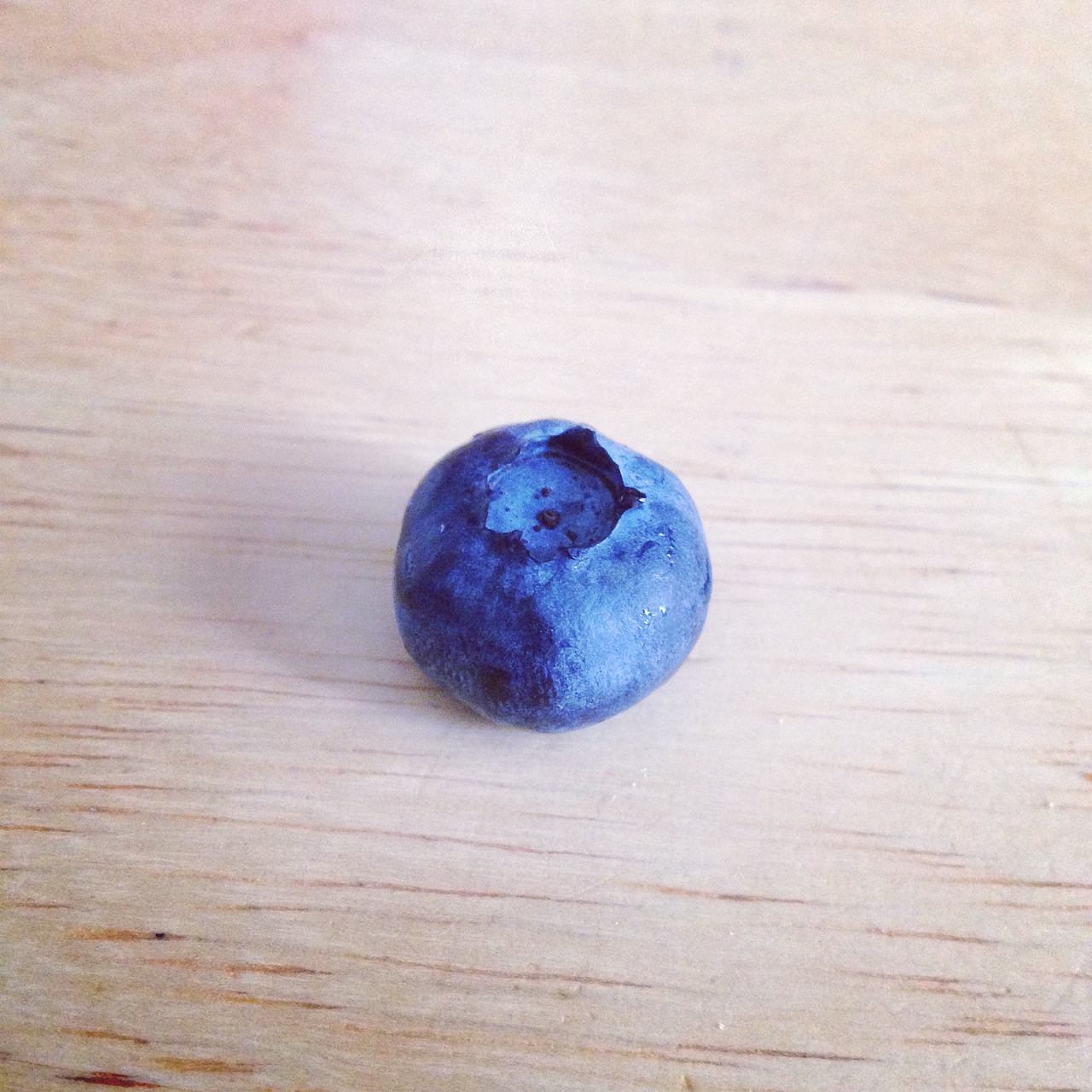 blue berry fruit free photo