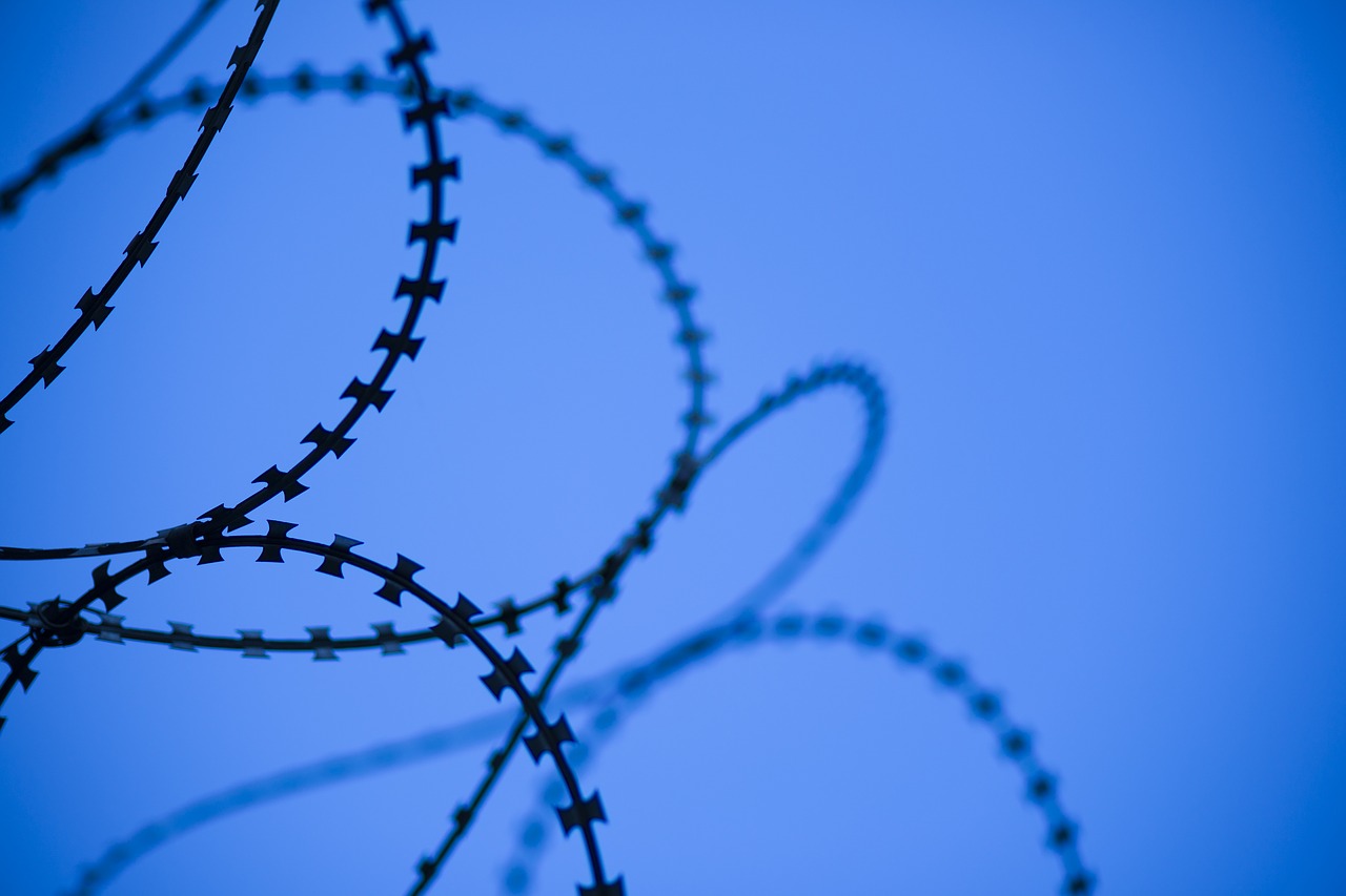 blue abstract wire free photo