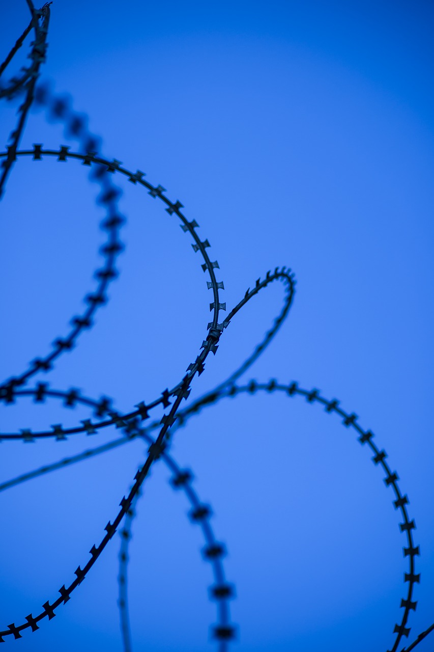 blue wire prison free photo