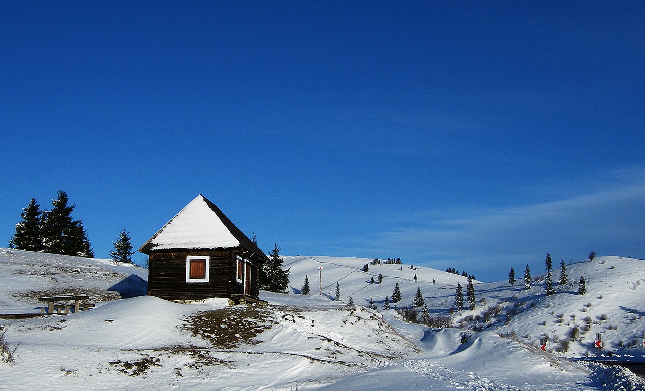 blue winter nature free photo