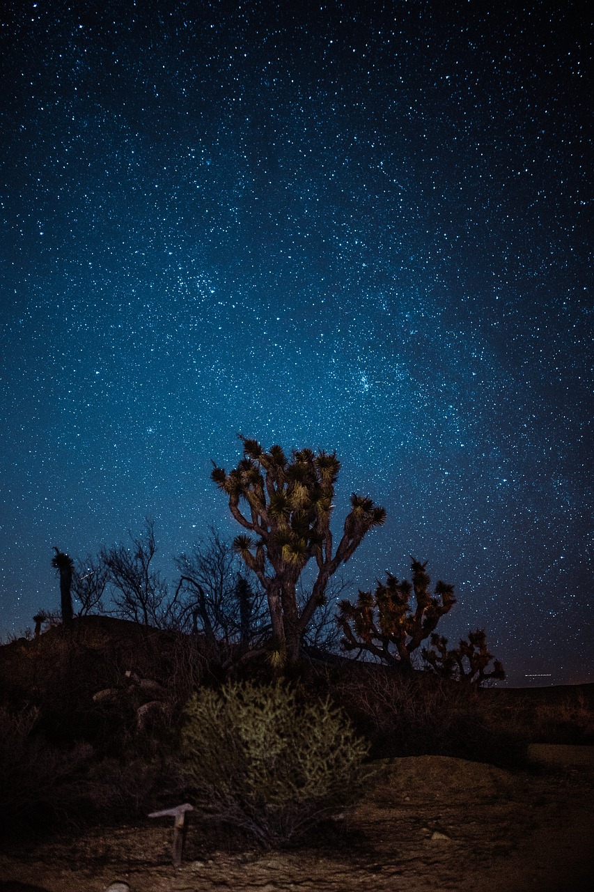 blue sky night free photo