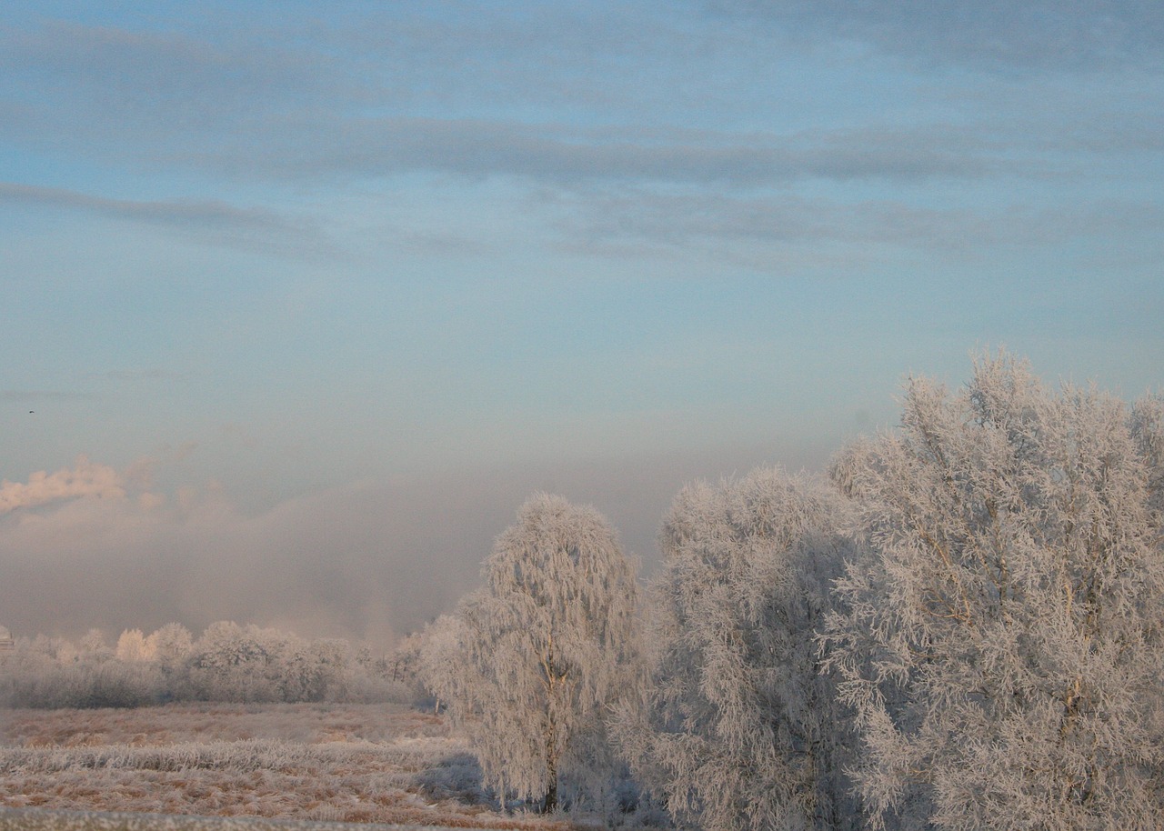 blue sky nature free photo