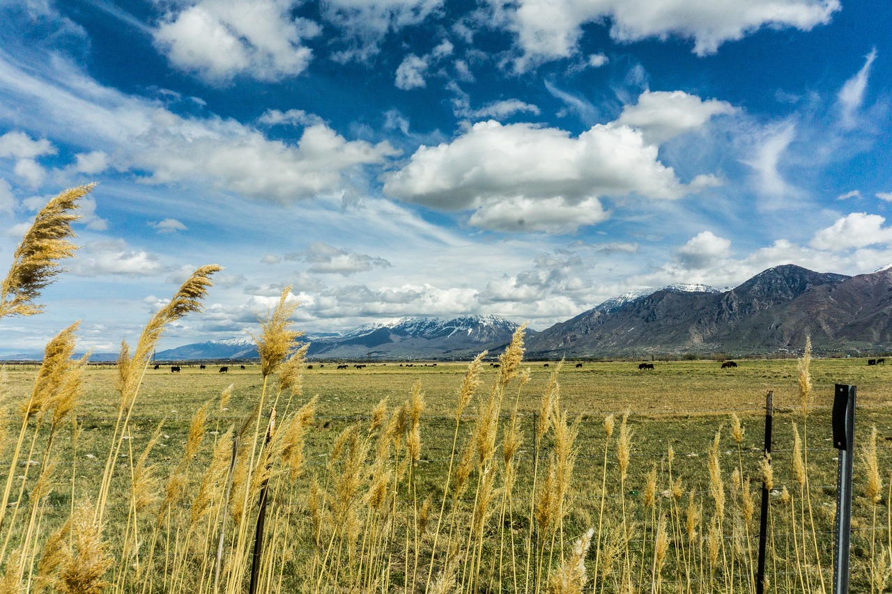 blue sky clouds free photo