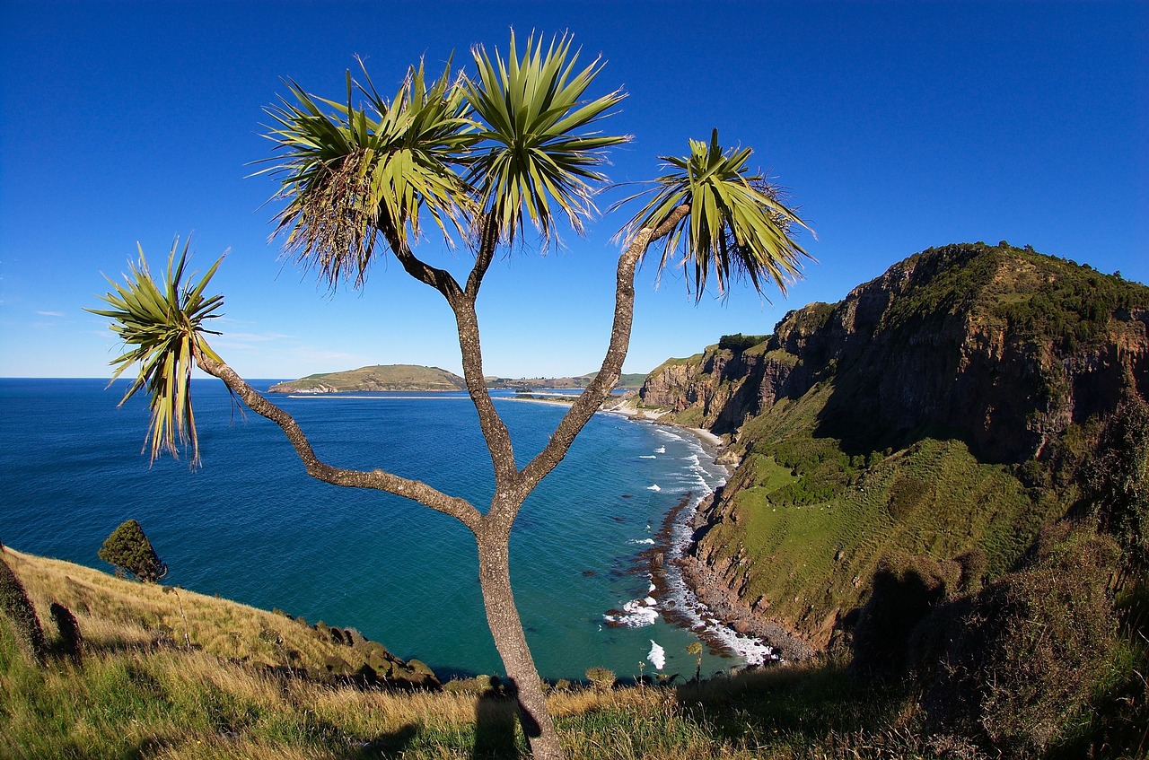 blue sky coast free photo